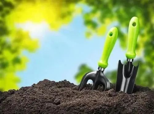 Organic  Fertilizers